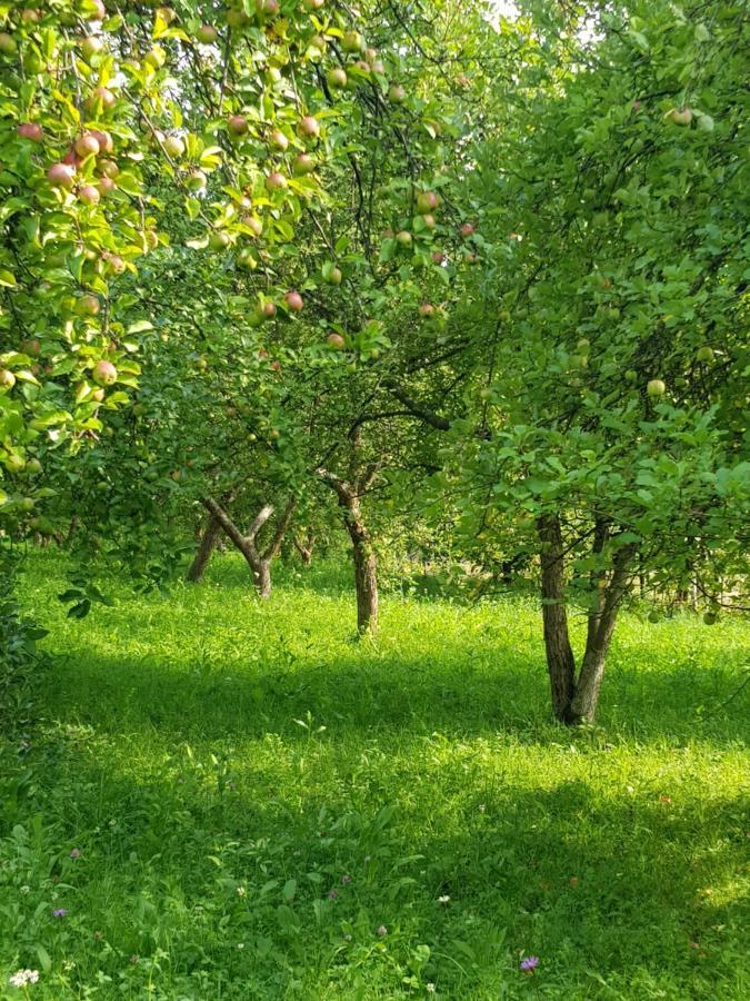 فندق Eco Familia Pojoga المظهر الخارجي الصورة